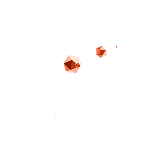 Server