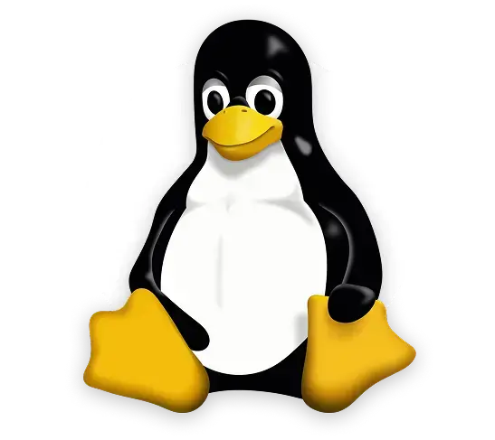 Dedicated Server